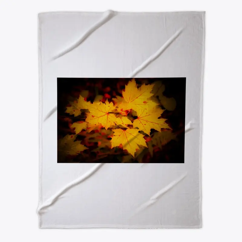 Yellow Autumn leaves