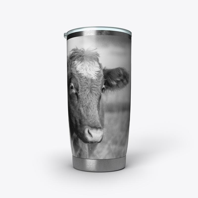 Black And White Cow Photo